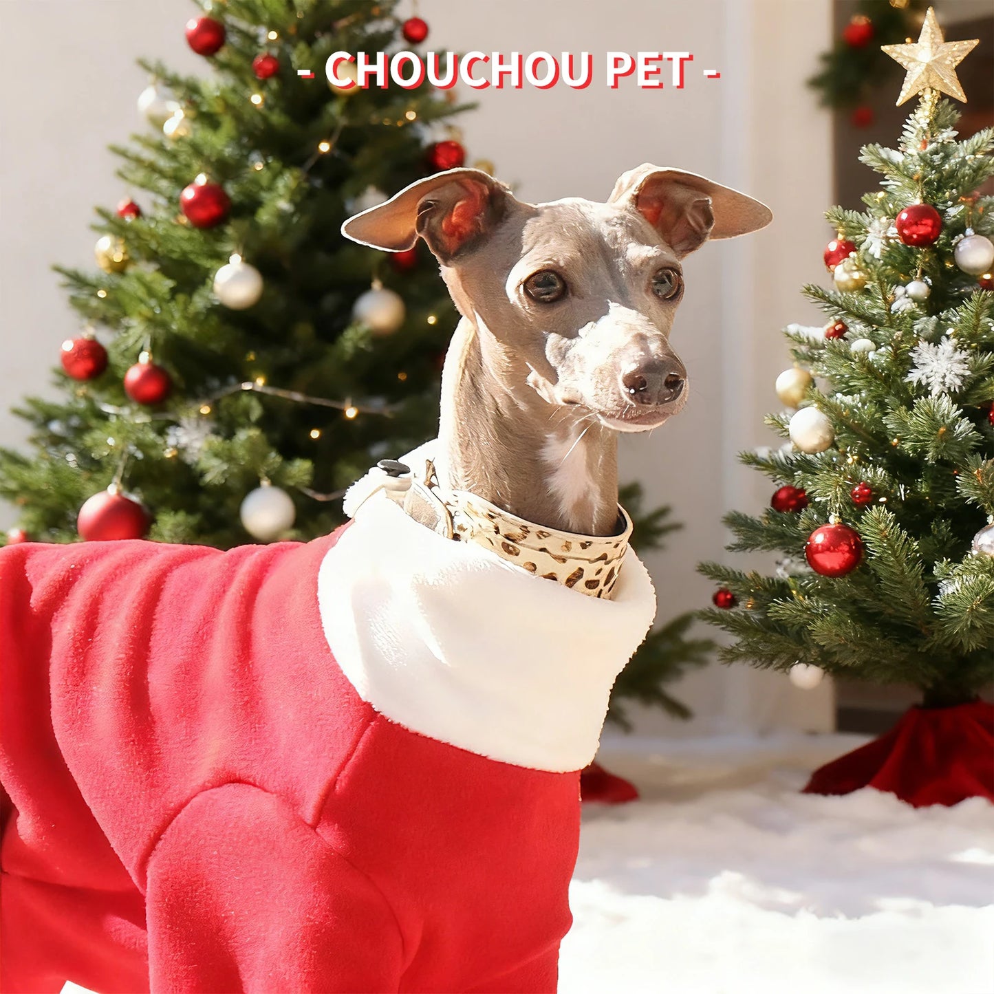 Christmas pet dog clothes suitable for Italian Greyhound Whippet sighthounds as New Year's gifts