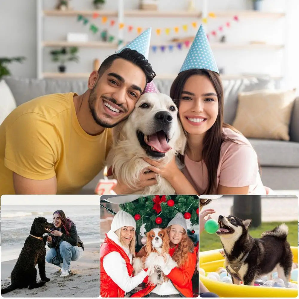 Winter warm Whippet Vest Italian Greyhoundes Clothes Turtleneck Dog Clothes Soft Fleece Clothes Coat Outfit For Medium Large dog