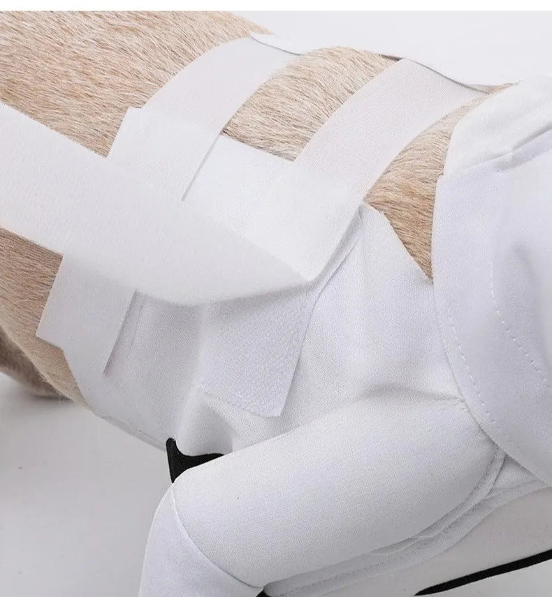 Halloween Dog Clothes Funny Pet Cat Dogs Clothes Chef Transformation Large Dog Clothing Cute Creative Puppy Kitten Pets Costume