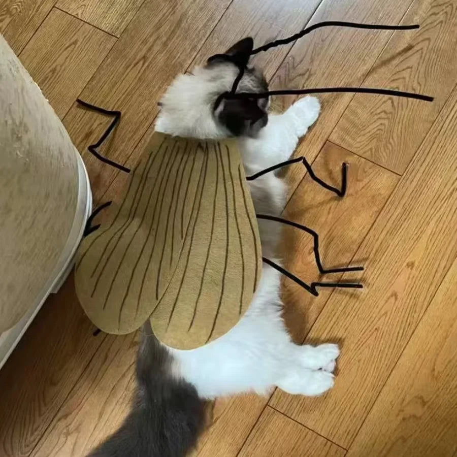 Pet Halloween Costume Cat Dog Cockroach Handmade DIY Cosplay Clothing Funny Pet wacky Costume Party