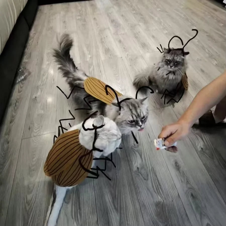 Pet Halloween Costume Cat Dog Cockroach Handmade DIY Cosplay Clothing Funny Pet wacky Costume Party