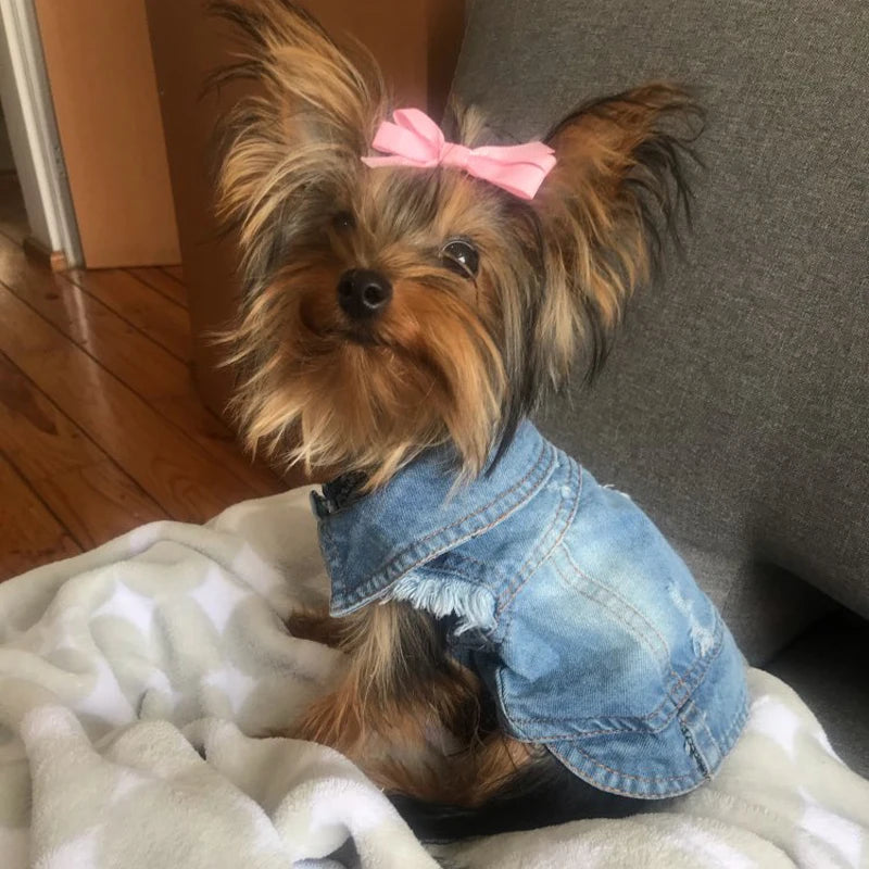Denim Dog Clothes, Cowboy Pet Dog Coat, Puppy Clothing, Small Dogs Jeans Jacket, Vest Coat, Puppy Outfits, Cat Clothes, XS-2XL