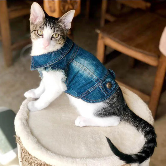 Denim Dog Clothes, Cowboy Pet Dog Coat, Puppy Clothing, Small Dogs Jeans Jacket, Vest Coat, Puppy Outfits, Cat Clothes, XS-2XL
