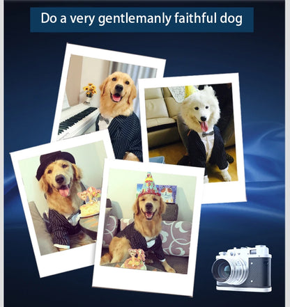 Large Dog Clothes Stripes Big Dog Coat Bowknot Tuxedo Jacket Wedding Suit Pet Clothes For Samoye Husky