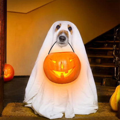 Halloween Ghost Dog Costume horror dog cosplay dress up ghost decoration pet supplies cape headgear pet transformation costume