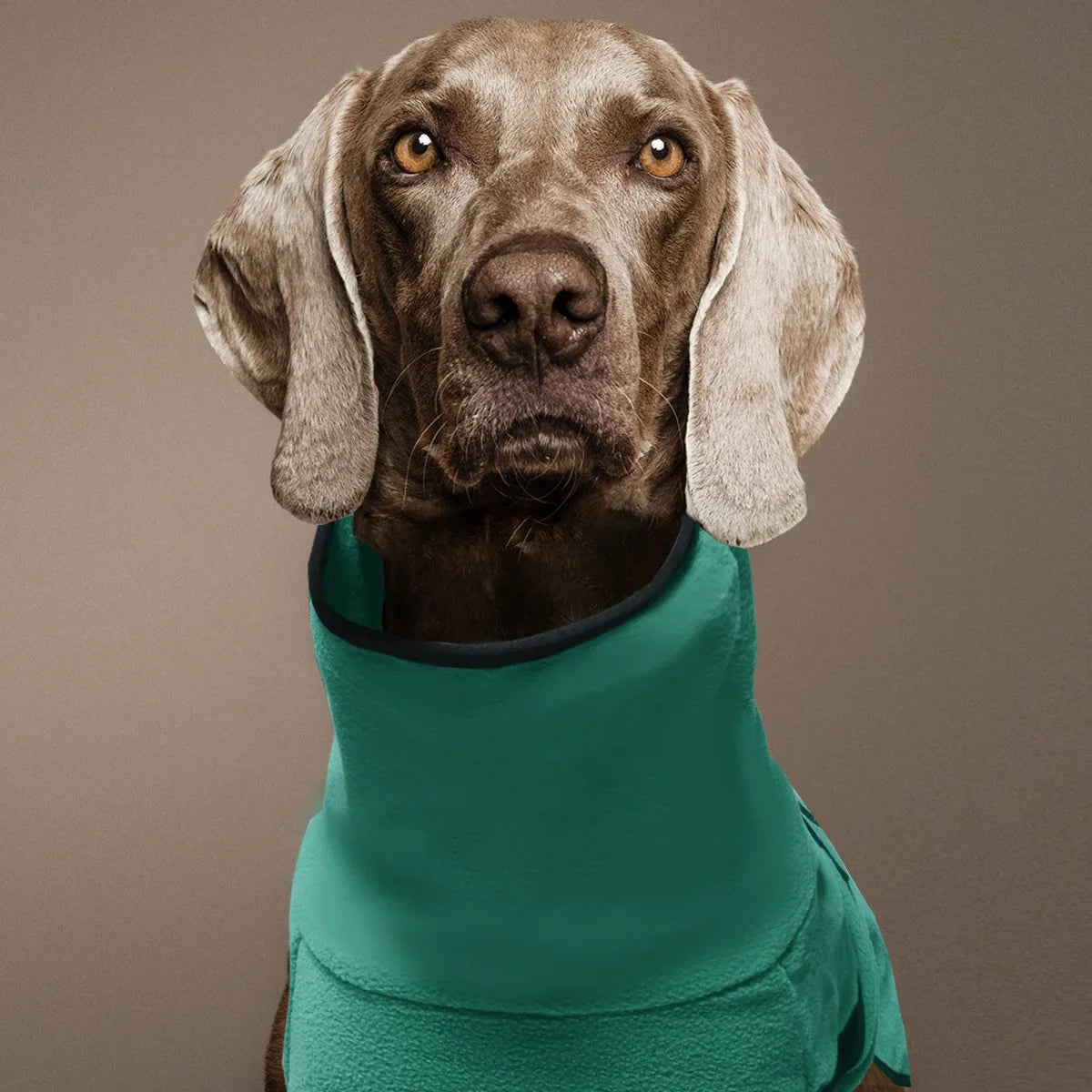 Clothes For Large Dogs Winter Warm Big Dog Vest Jacket  Pet Dogs Coat Greyhound Doberman Clothes For Medium Large Dogs