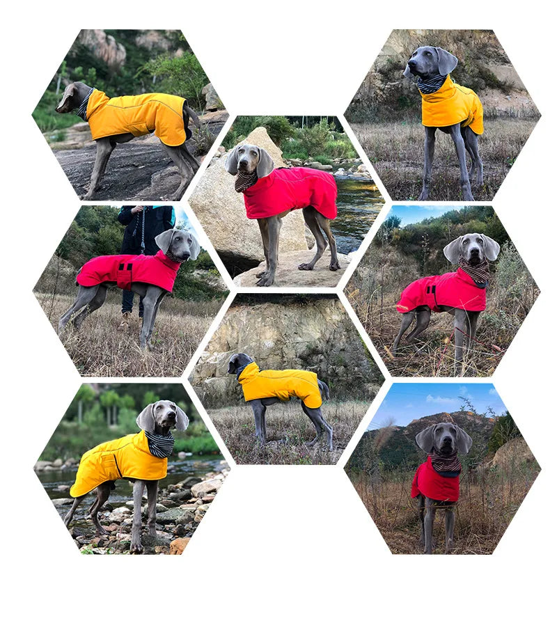 Dog Clothes Autumn and Winter Clothes Medium-sized Large Dog Pet Double Collar Warm Water-repellent Cotton-padded Jacket Vest