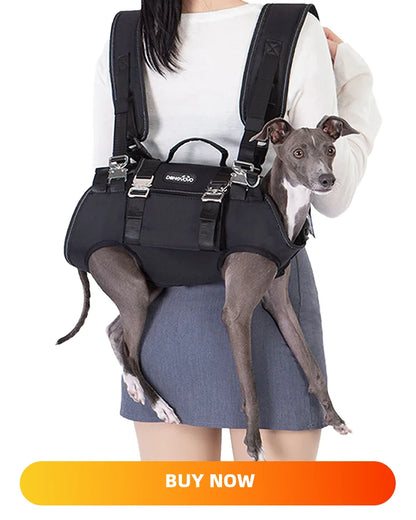 Luxury Pet Small Pet Dog Clothes Sweater Fashion Solid Fried Dough Twists Knitting Warm Comfort Clothing Sweater for Puppy