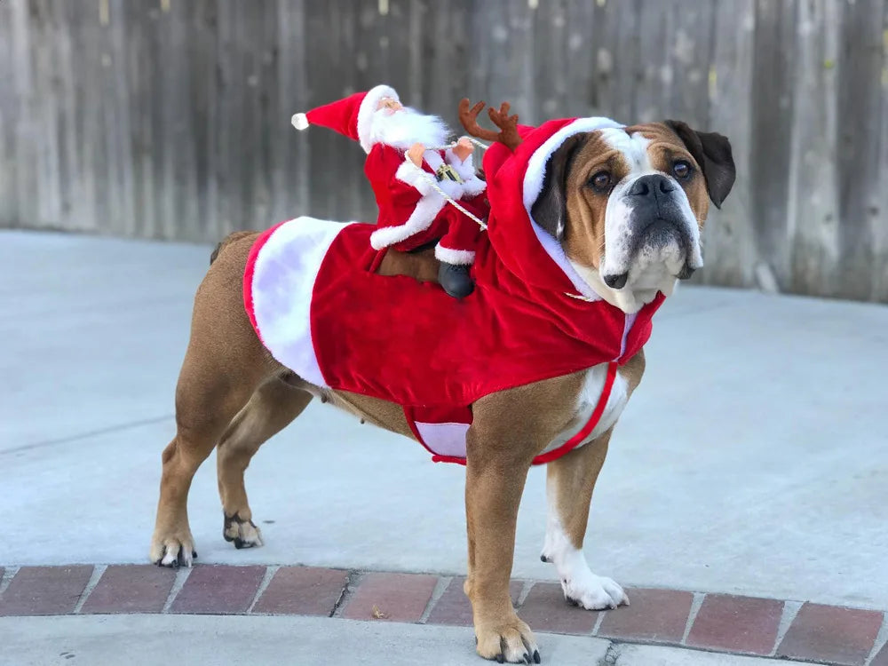Christmas Pet Clothes Santa Sitting on Back Winter Dog Costume Cosplay Outfit for Small Medium Large Dogs Cats Party Dressing up