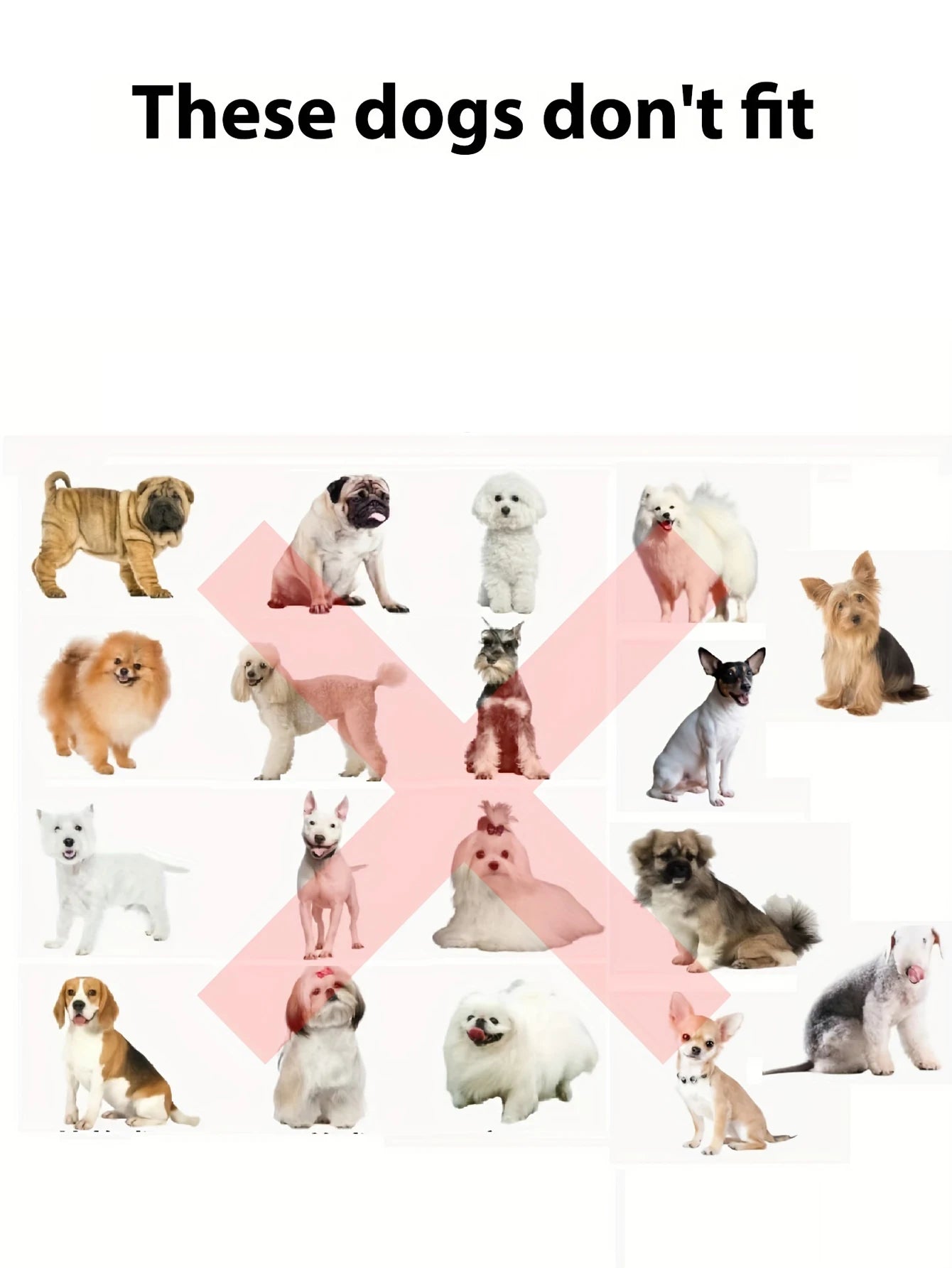 Lion Mane Dog Costume Lion Wig Halloween Costume with Ears and Tail Suitable for Medium to Large Dog Neck Circumference up to 80