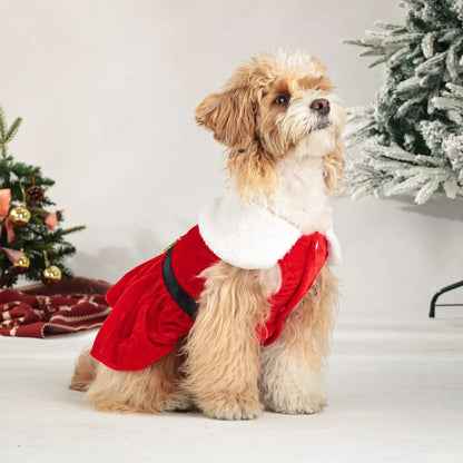 Puppy Fancy Dress Christmas Clothes for Small Dogs Xmas Tree Designer Puppy Skirts with Faux Fur Collar Red