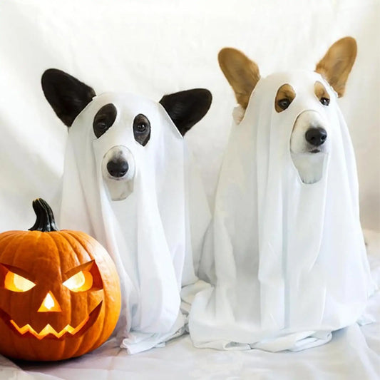 Halloween Ghost Dog Costume horror dog cosplay dress up ghost decoration pet supplies cape headgear pet transformation costume
