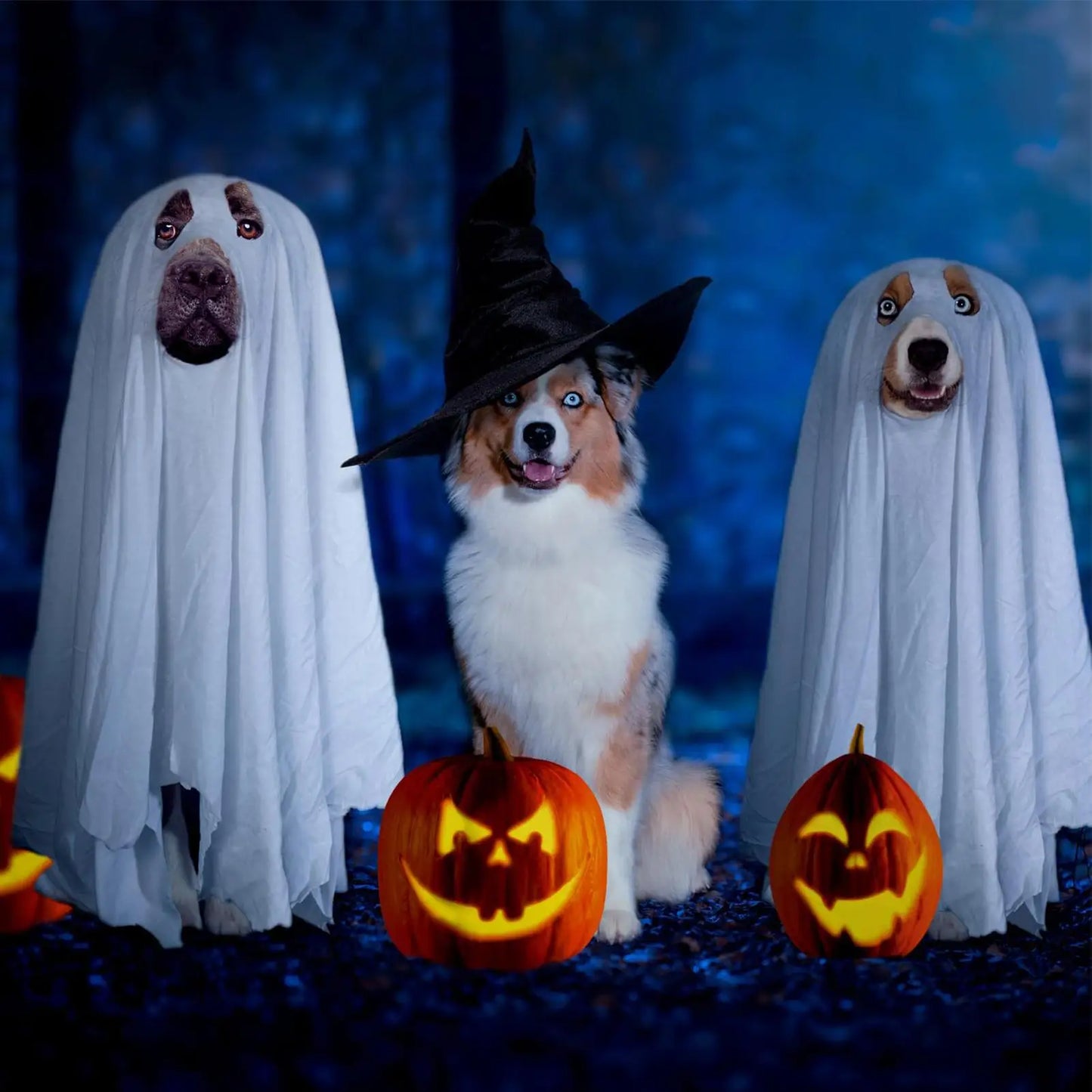 Halloween Ghost Dog Costume horror dog cosplay dress up ghost decoration pet supplies cape headgear pet transformation costume
