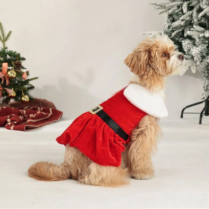 Puppy Fancy Dress Christmas Clothes for Small Dogs Xmas Tree Designer Puppy Skirts with Faux Fur Collar Red