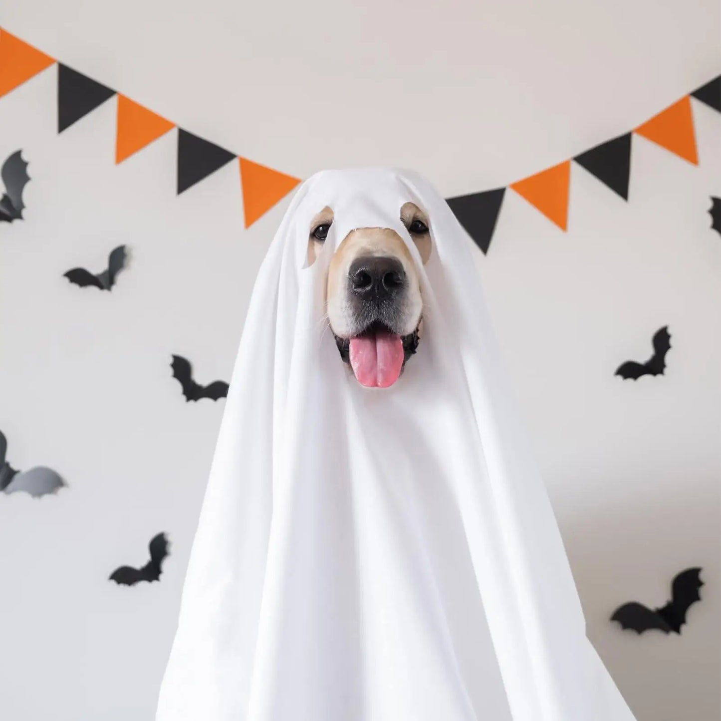 Halloween Ghost Dog Costume horror dog cosplay dress up ghost decoration pet supplies cape headgear pet transformation costume