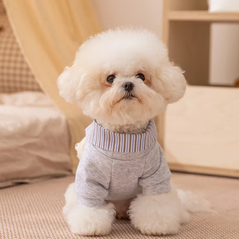 Dog Clothes 2025 Cute Bear Puppy Hoodies Autumn Winter Warm Coat Polo Shirts Cat Clothing Chihuhua Bichon Apparels Dog Pullover