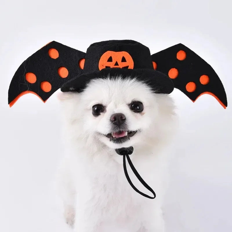 Funny Pet Halloween Dog Clothes Costume Small Dog Jacket Creative Outfit for Teddy Cats  Costume Dog Clothes for Small Dogs