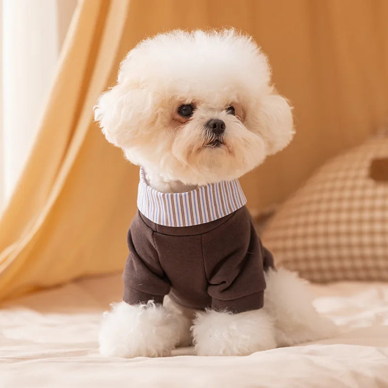 Dog Clothes 2025 Cute Bear Puppy Hoodies Autumn Winter Warm Coat Polo Shirts Cat Clothing Chihuhua Bichon Apparels Dog Pullover