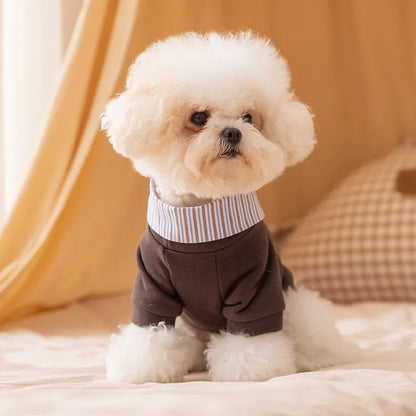 Dog Clothes 2025 Cute Bear Puppy Hoodies Autumn Winter Warm Coat Polo Shirts Cat Clothing Chihuhua Bichon Apparels Dog Pullover