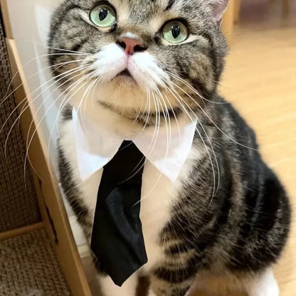 Cosplay Dogs Cloak Cape Magic Academy British Dogs Cloak Cos Embroidery Teddy Small Cat Pet Clothes Winter Fashion Pets Supplies