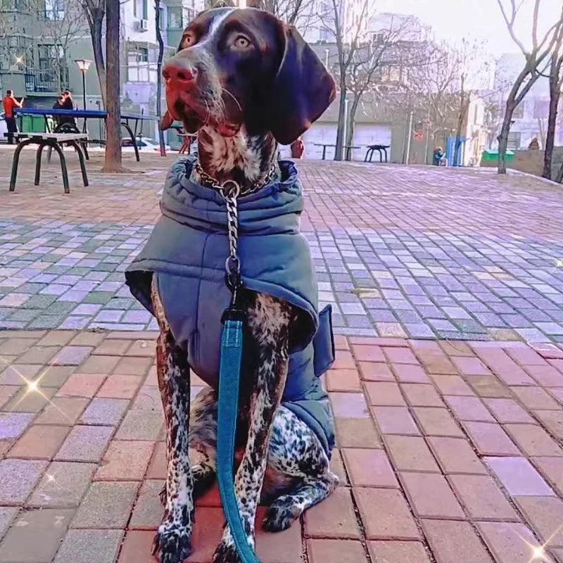 Winter Dog Clothes Reflective Waterproof Pet Down Jacket for Small Medium Dogs French Bulldog Golden Retriever Rain Coat Outfit