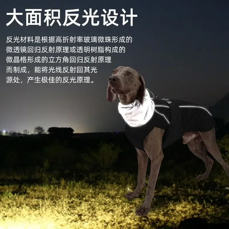 Dog Clothes Autumn and Winter Thickened Small Medium Large Dog Fadou Teddy Golden Retriever Pet Warm Cotton-padded Jacket