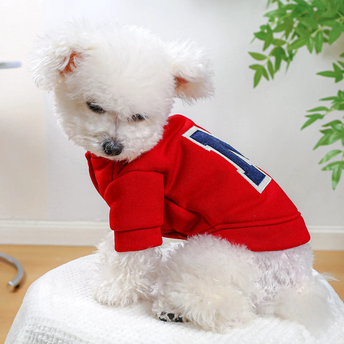 Clothes for Small Dogs Teddy than Bear Dog Clothes Autumn and Winter New Add Velvet Warm Warm Letter R Hoodie