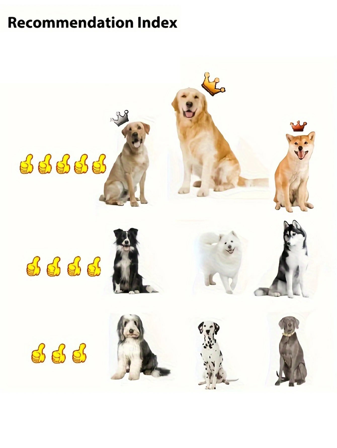 Lion Mane Dog Costume Lion Wig Halloween Costume with Ears and Tail Suitable for Medium to Large Dog Neck Circumference up to 80