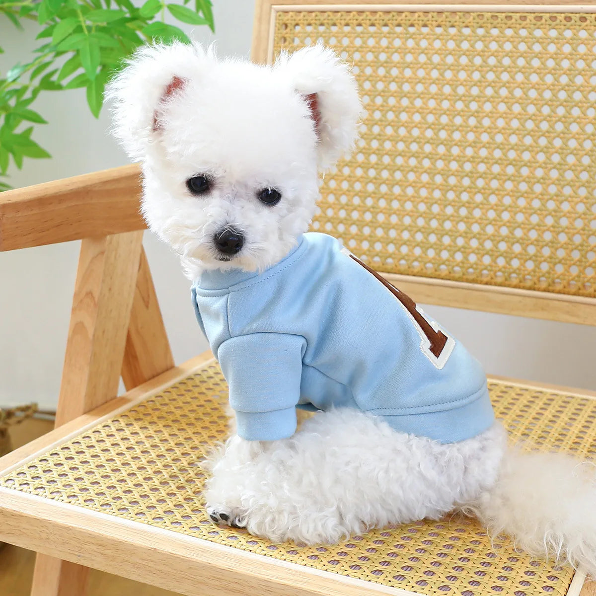 Clothes for Small Dogs Teddy than Bear Dog Clothes Autumn and Winter New Add Velvet Warm Warm Letter R Hoodie