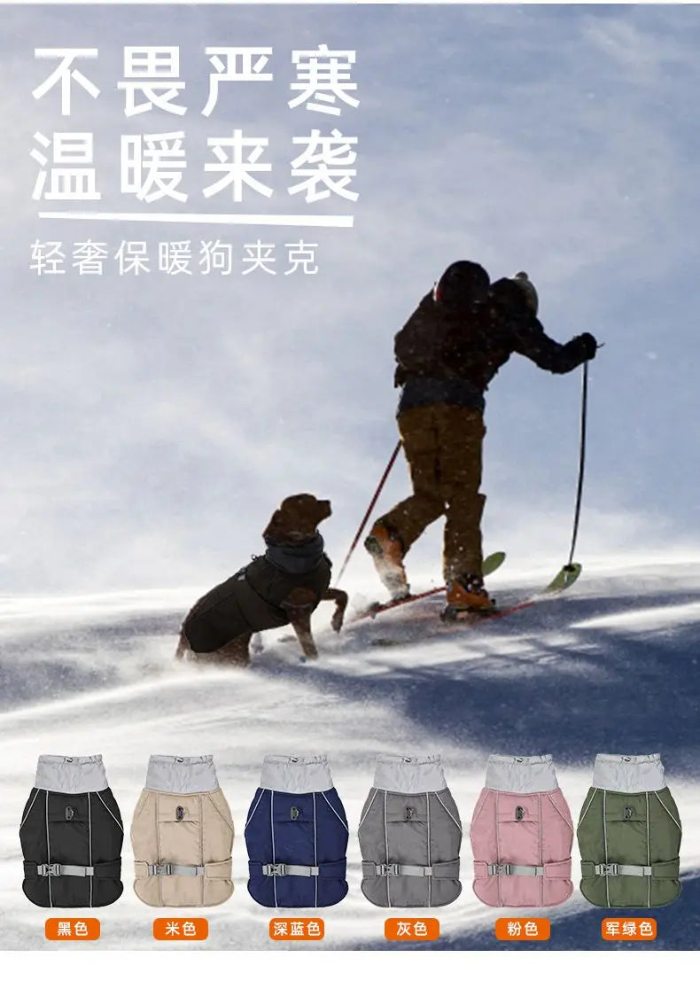 Dog Clothes Autumn and Winter Thickened Small Medium Large Dog Fadou Teddy Golden Retriever Pet Warm Cotton-padded Jacket