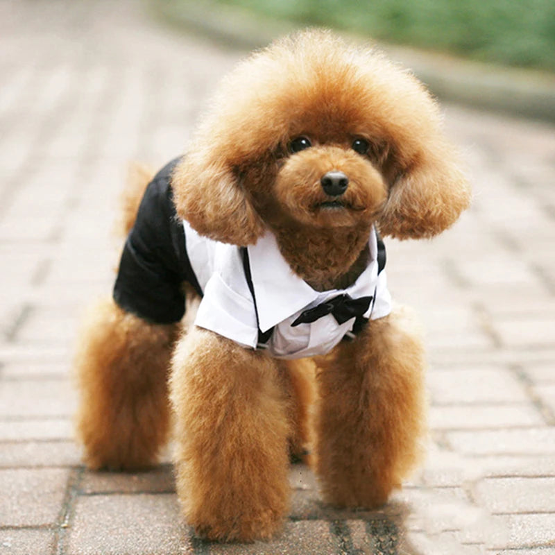Dog Clothes Cat Prince Wedding Costume Cute Gentleman Cachorro Mascotas Chihuahua Tuxedo Bowtie Puppy Coat Pets Supplies