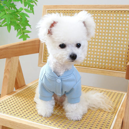 Clothes for Small Dogs Teddy than Bear Dog Clothes Autumn and Winter New Add Velvet Warm Warm Letter R Hoodie