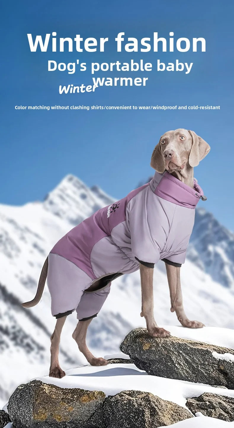2025 New Winter style dog clothes outdoor large  four-legged clothes big windbreaker cold-proof warm fashion pet clothing