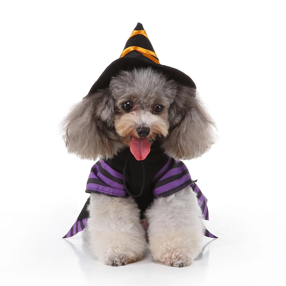 Funny Halloween Dog Costume Clothes for Small Dog Clothing Pet Dress Up Outfit Cosplay Christmas Party Carnival Hallowen Perro