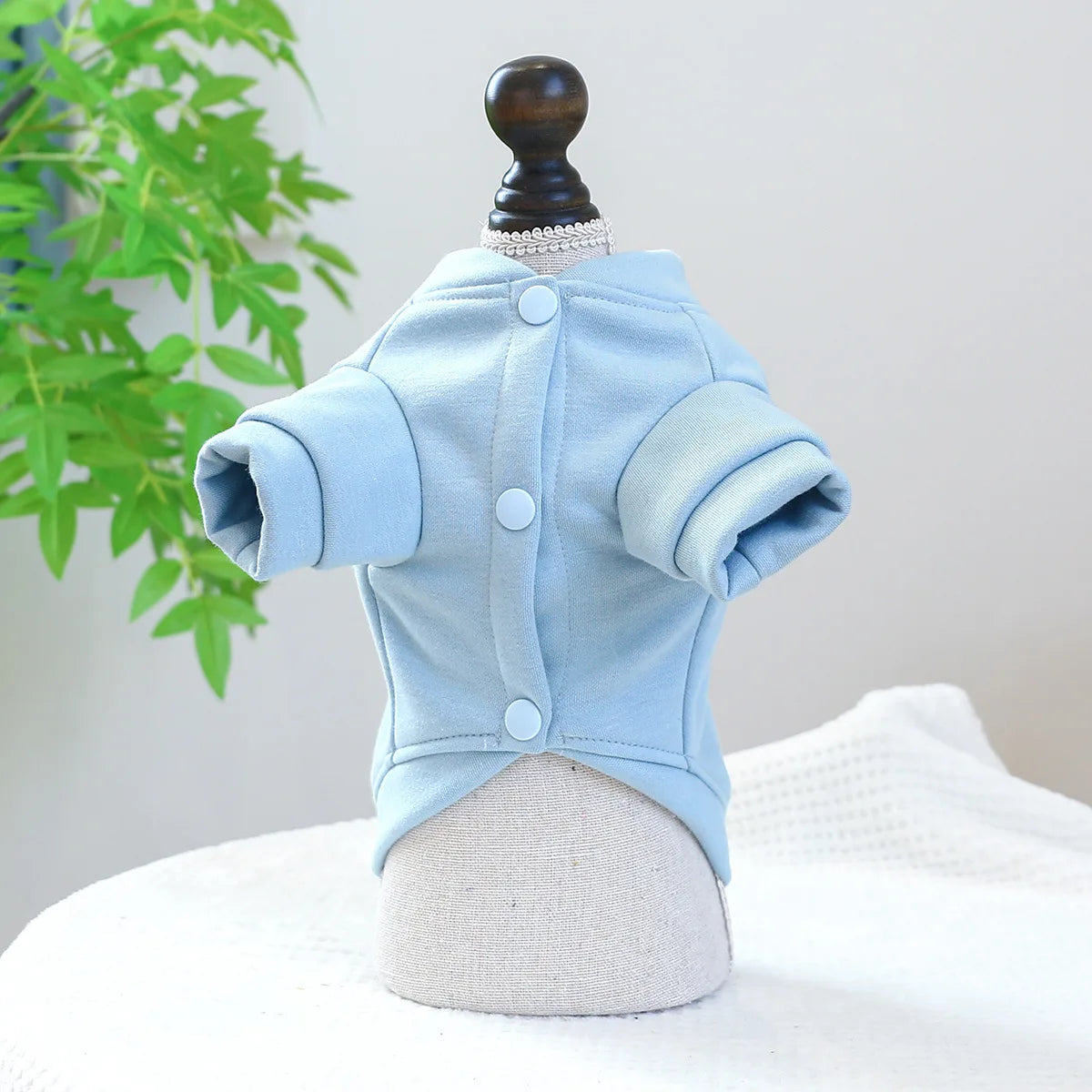 Clothes for Small Dogs Teddy than Bear Dog Clothes Autumn and Winter New Add Velvet Warm Warm Letter R Hoodie