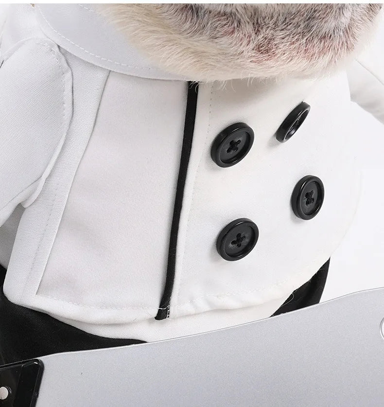 Halloween Dog Clothes Funny Pet Cat Dogs Clothes Chef Transformation Large Dog Clothing Cute Creative Puppy Kitten Pets Costume