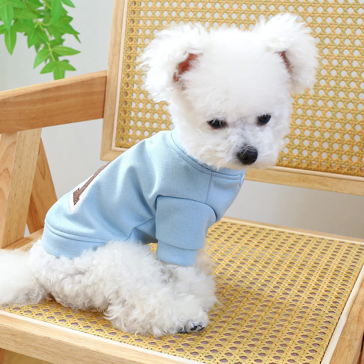 Clothes for Small Dogs Teddy than Bear Dog Clothes Autumn and Winter New Add Velvet Warm Warm Letter R Hoodie