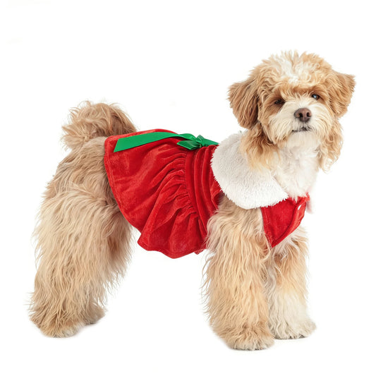 Puppy Fancy Dress Christmas Clothes for Small Dogs Xmas Tree Designer Puppy Skirts with Faux Fur Collar Red