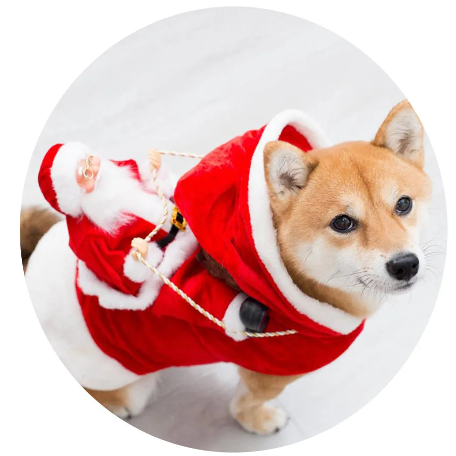 Christmas Pet Clothes Santa Sitting on Back Winter Dog Costume Cosplay Outfit for Small Medium Large Dogs Cats Party Dressing up