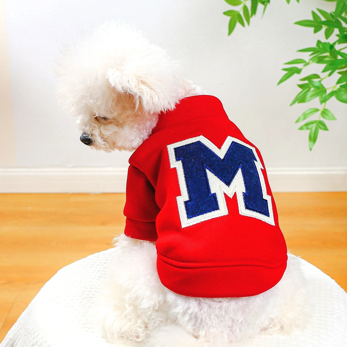 Clothes for Small Dogs Teddy than Bear Dog Clothes Autumn and Winter New Add Velvet Warm Warm Letter R Hoodie