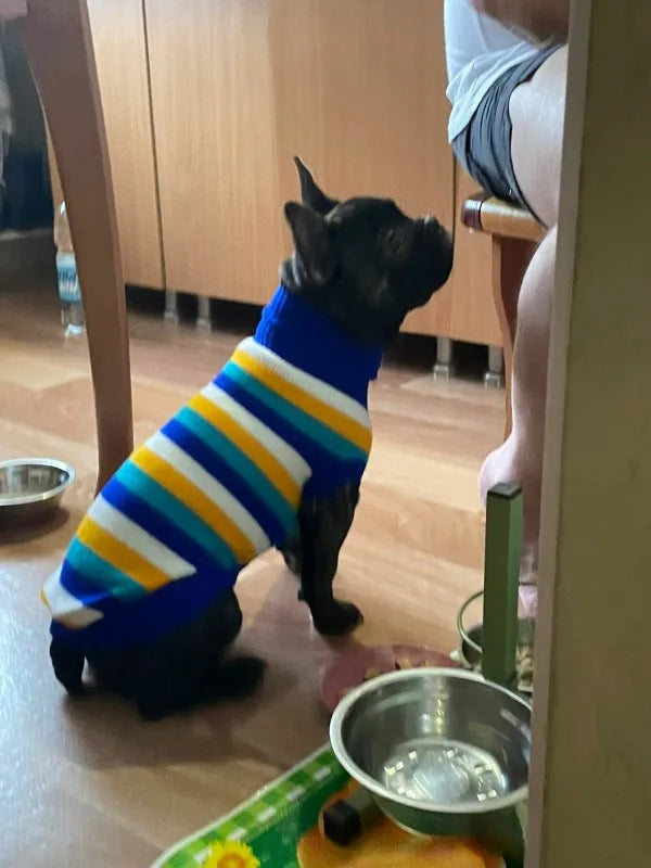 Warm Pet Dog Sweater Winter Dog Clothes for Small Medium Dogs Knitted Puppy Cat Coat Chihuahua French Bulldogs Yorkie Customes