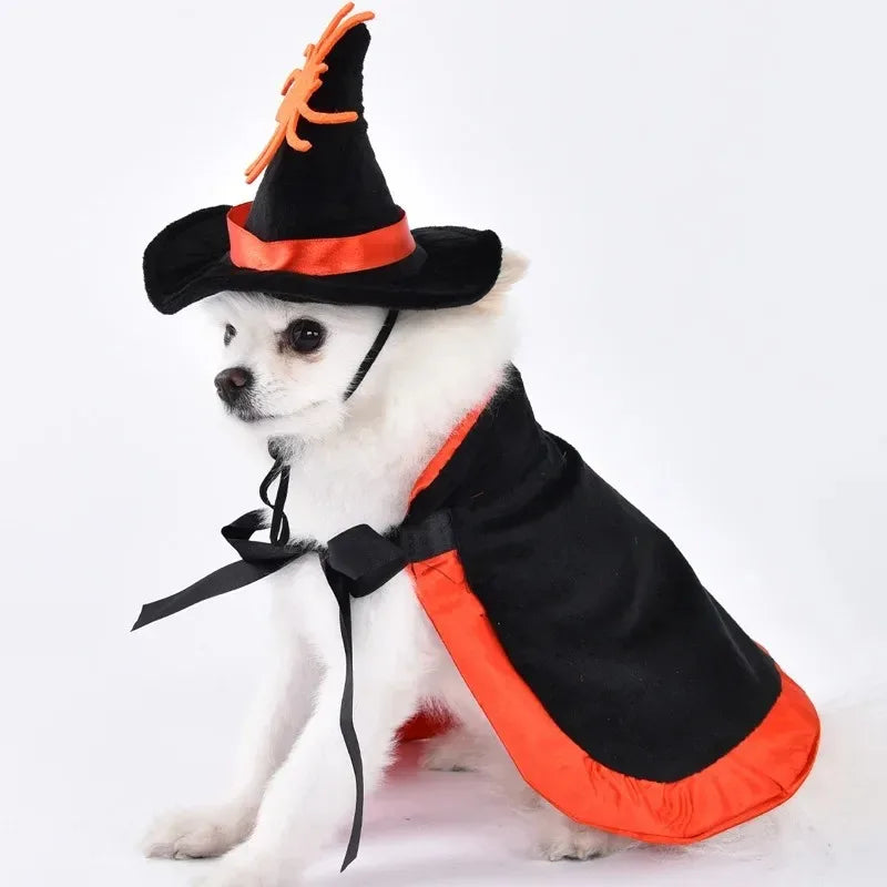 Funny Pet Halloween Dog Clothes Costume Small Dog Jacket Creative Outfit for Teddy Cats  Costume Dog Clothes for Small Dogs