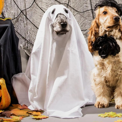 Halloween Ghost Dog Costume horror dog cosplay dress up ghost decoration pet supplies cape headgear pet transformation costume