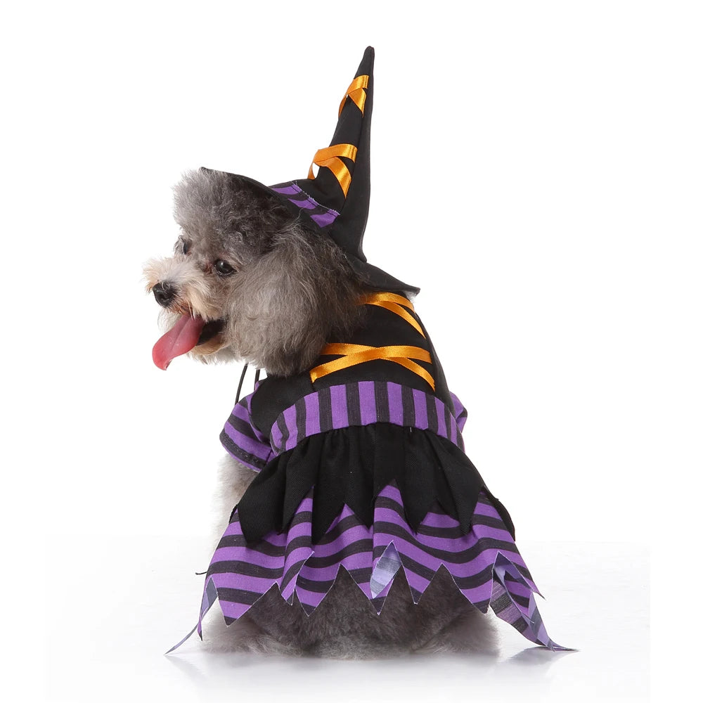 Funny Halloween Dog Costume Clothes for Small Dog Clothing Pet Dress Up Outfit Cosplay Christmas Party Carnival Hallowen Perro