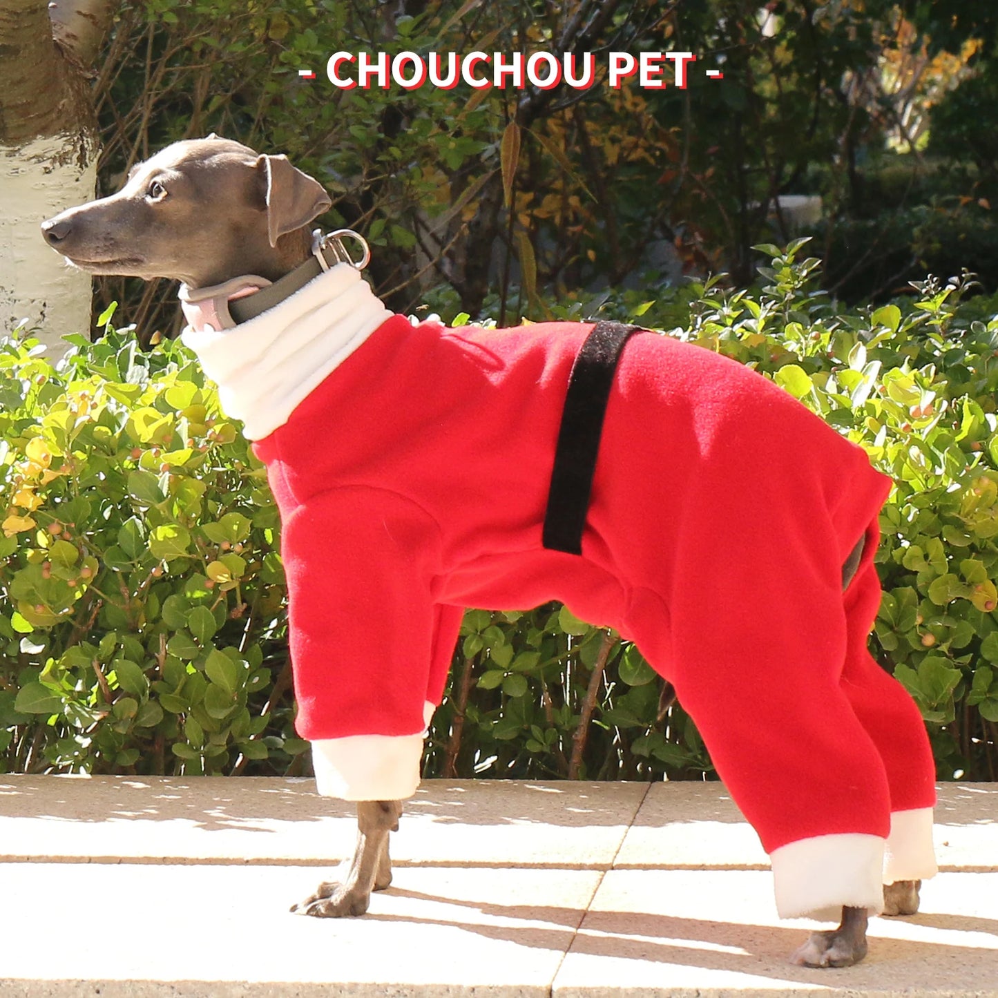 Christmas pet dog clothes suitable for Italian Greyhound Whippet sighthounds as New Year's gifts
