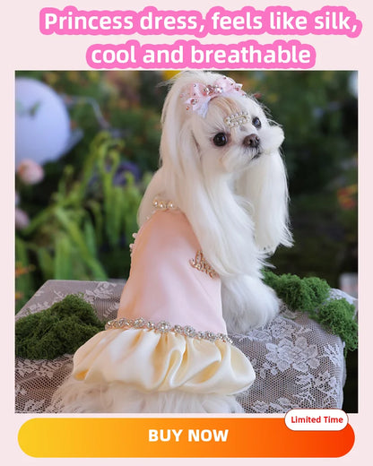 Luxury Pet Small Pet Dog Clothes Sweater Fashion Solid Fried Dough Twists Knitting Warm Comfort Clothing Sweater for Puppy