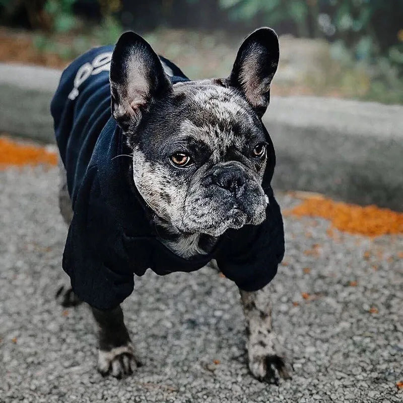 Fashion Dog Hoodie Winter Pet Dog Clothes for Dogs Coat Jacket Cotton Ropa Perro French Bulldog Clothing for Dogs Pets Clothing