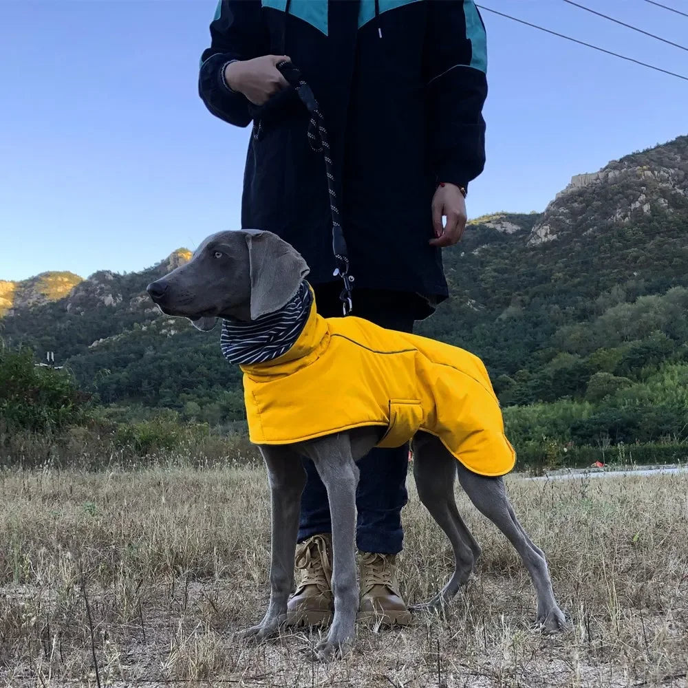 Dog Clothes Autumn and Winter Clothes Medium-sized Large Dog Pet Double Collar Warm Water-repellent Cotton-padded Jacket Vest