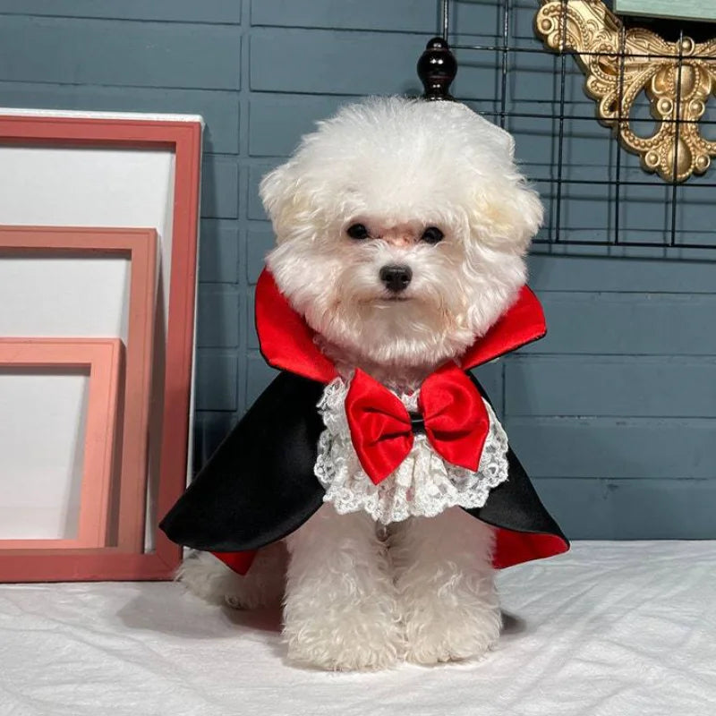 Dog Halloween Vampire Cloak Prince Puppy Pet Role Playing Costume Suitable for Small and Medium Dogs Christmas Festival Dress Up