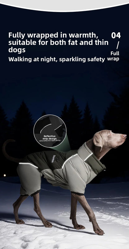 2025 New Winter style dog clothes outdoor large  four-legged clothes big windbreaker cold-proof warm fashion pet clothing